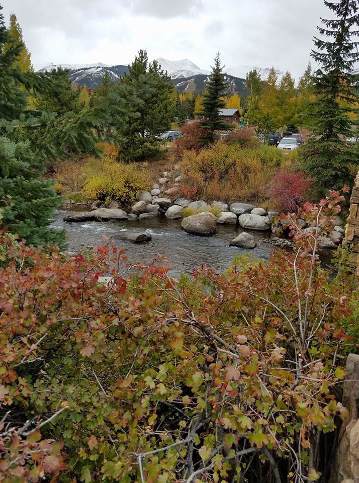 Fall colors
